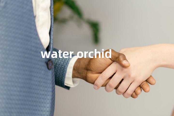 water orchid单词图解，单词释义场景配图
