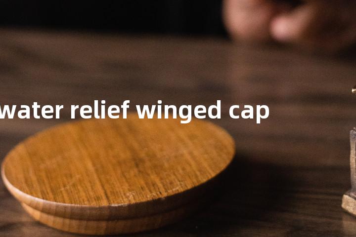 water relief winged cap单词图解，单词释义场景配图