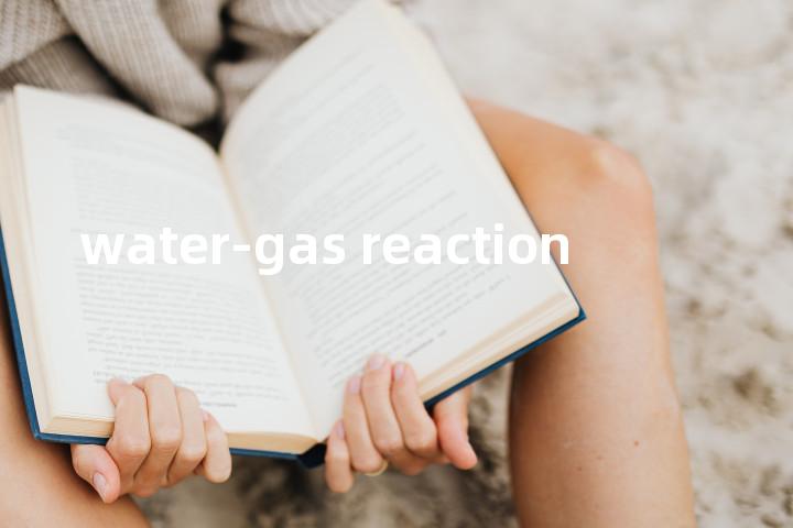 water-gas reaction单词图解，单词释义场景配图