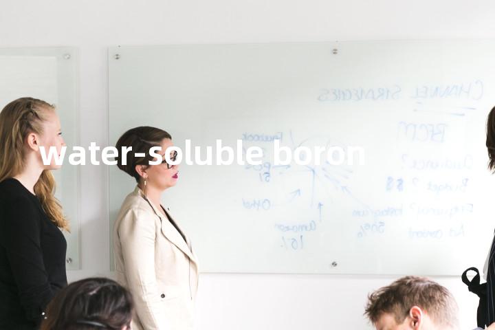 water-soluble boron单词图解，单词释义场景配图