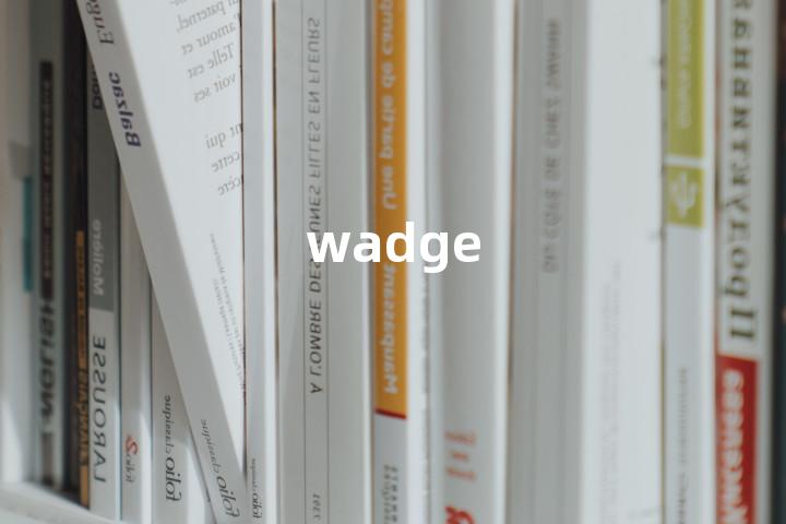 wadge单词图解，单词释义场景配图