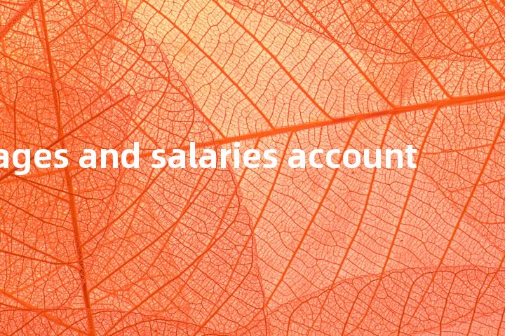 wages and salaries account单词图解，单词释义场景配图