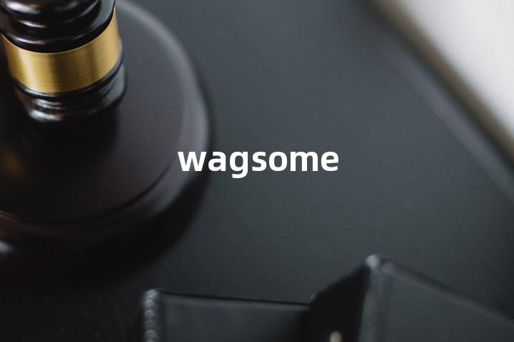 wagsome单词图解，单词释义场景配图