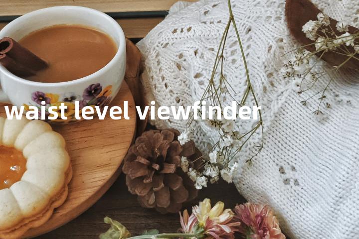 waist level viewfinder单词图解，单词释义场景配图