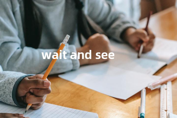 wait and see单词图解，单词释义场景配图
