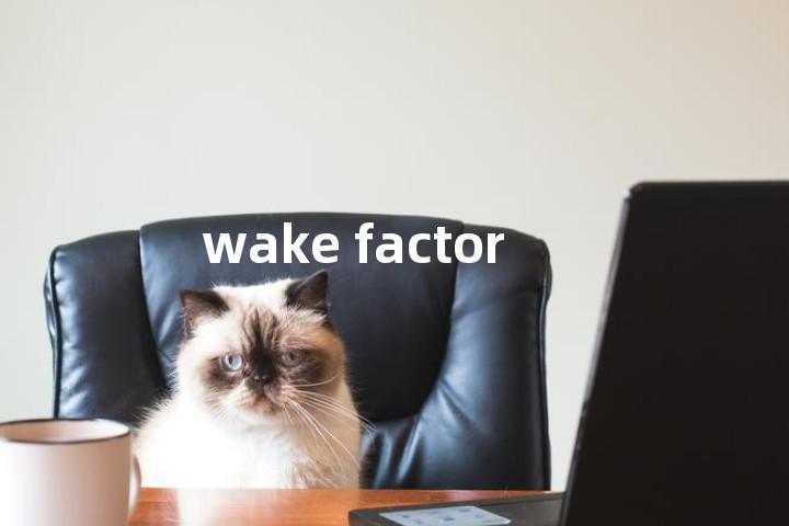 wake factor单词图解，单词释义场景配图