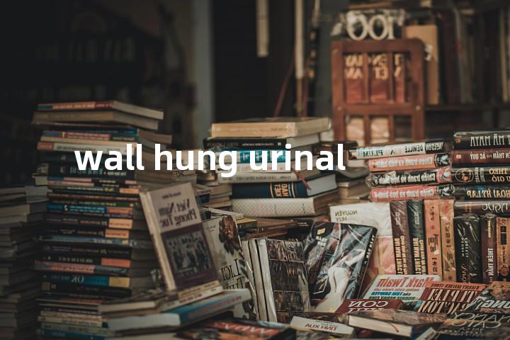 wall hung urinal单词图解，单词释义场景配图