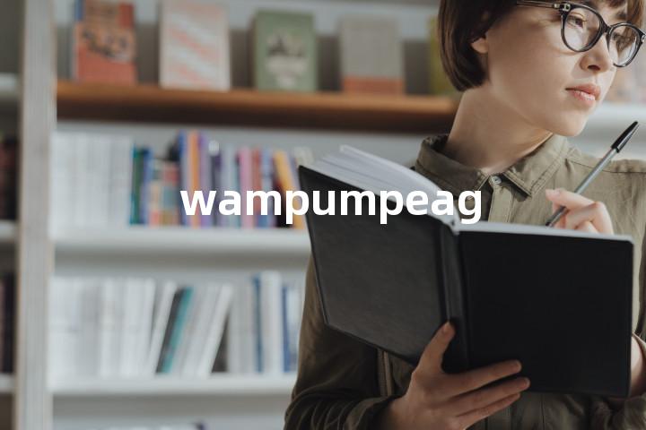 wampumpeag单词图解，单词释义场景配图