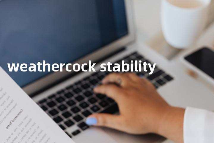 weathercock stability单词图解，单词释义场景配图