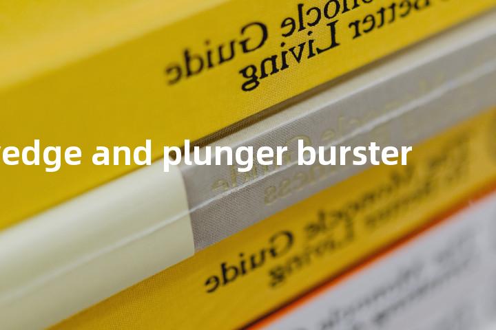 wedge and plunger burster单词图解，单词释义场景配图