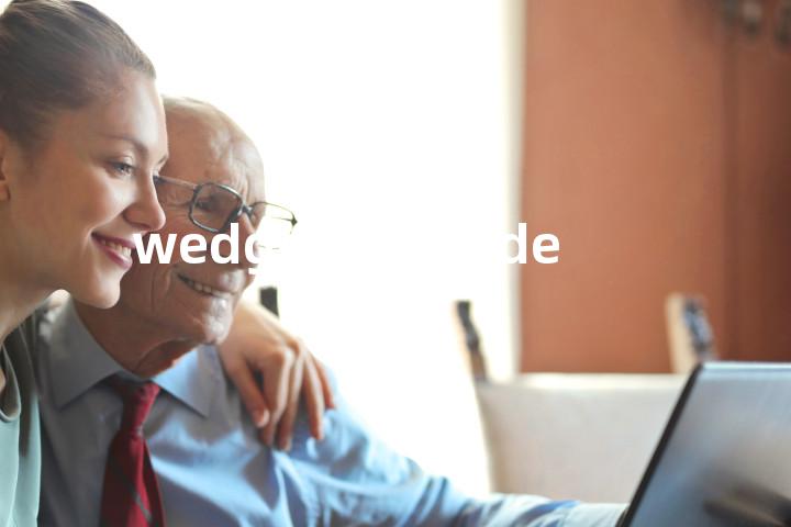 wedge electrode单词图解，单词释义场景配图