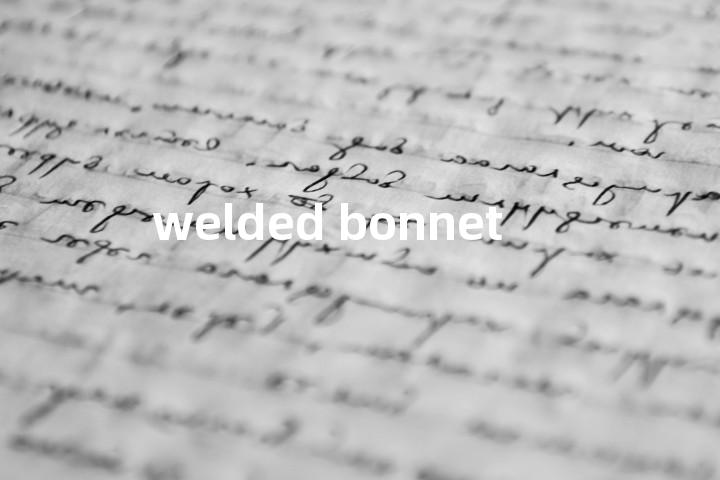 welded bonnet单词图解，单词释义场景配图