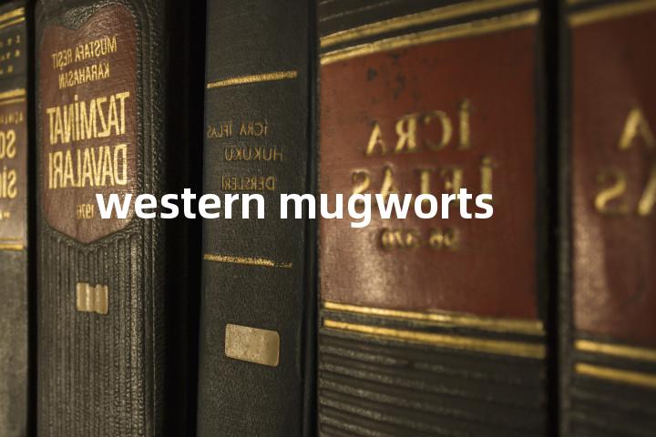 western mugworts单词图解，单词释义场景配图