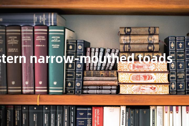 western narrow-mouthed toads单词图解，单词释义场景配图