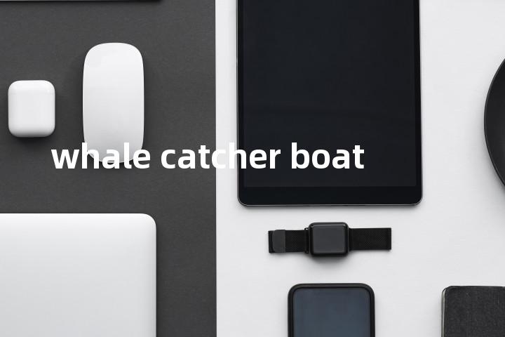 whale catcher boat单词图解，单词释义场景配图