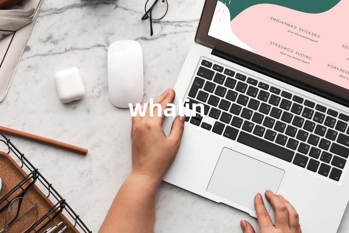 whalin单词图解，单词释义场景配图