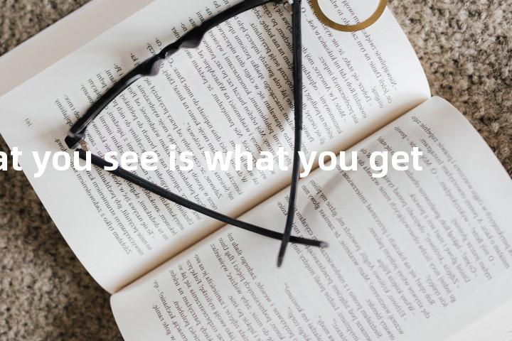 what you see is what you get单词图解，单词释义场景配图