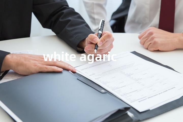 white agaric单词图解，单词释义场景配图