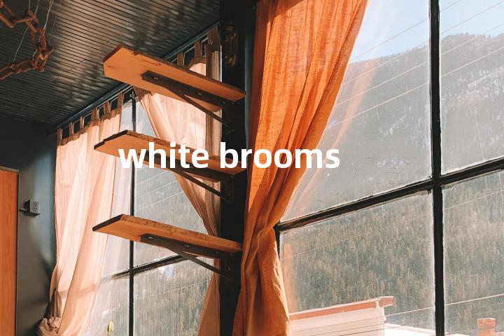 white brooms单词图解，单词释义场景配图