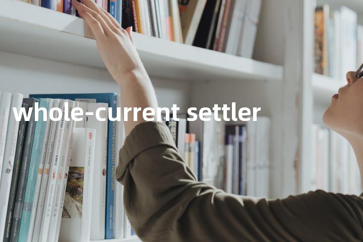 whole-current settler单词图解，单词释义场景配图