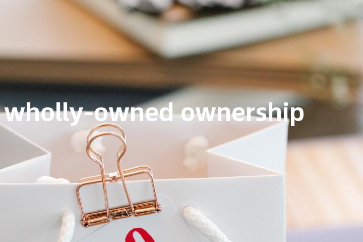 wholly-owned ownership单词图解，单词释义场景配图