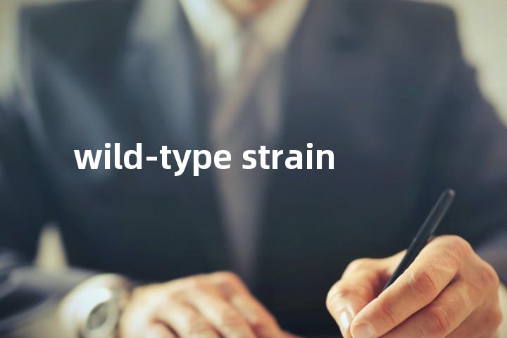 wild-type strain单词图解，单词释义场景配图