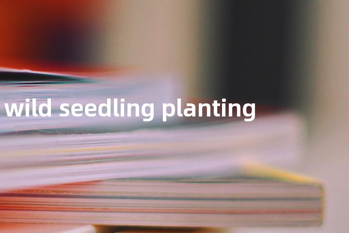 wild seedling planting单词图解，单词释义场景配图