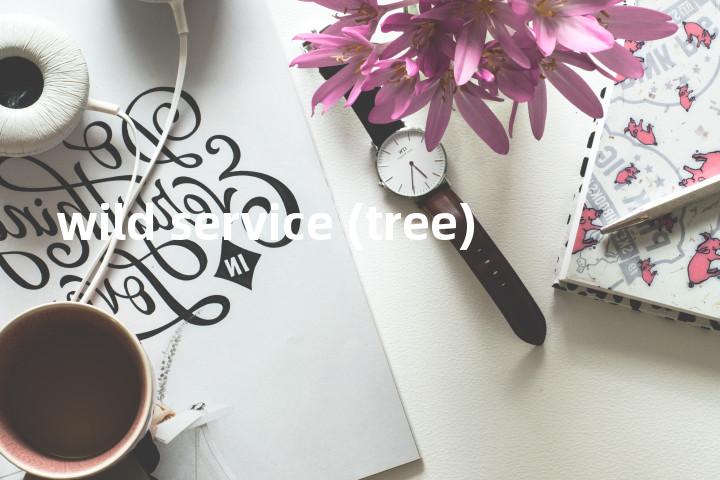 wild service (tree)单词图解，单词释义场景配图