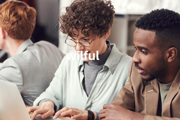 wilful