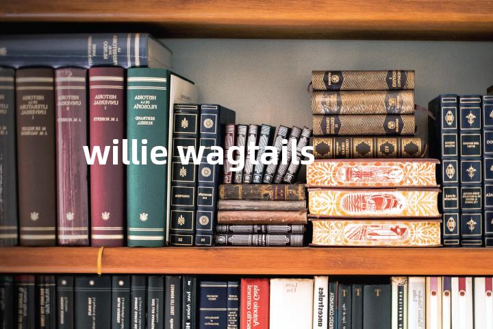 willie wagtails单词图解，单词释义场景配图