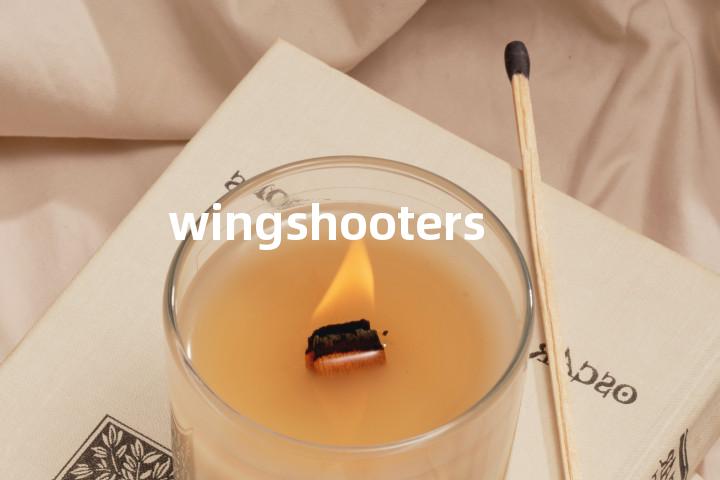 wingshooters单词图解，单词释义场景配图