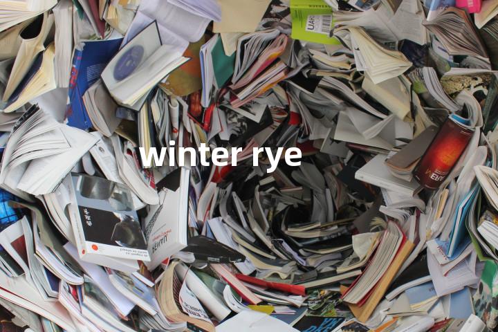 winter rye单词图解，单词释义场景配图