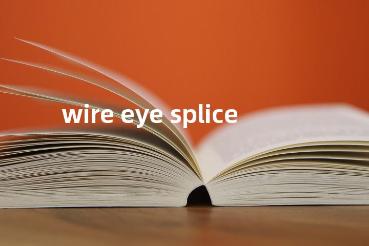 wire eye splice单词图解，单词释义场景配图