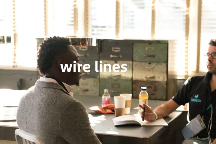wire lines单词图解，单词释义场景配图