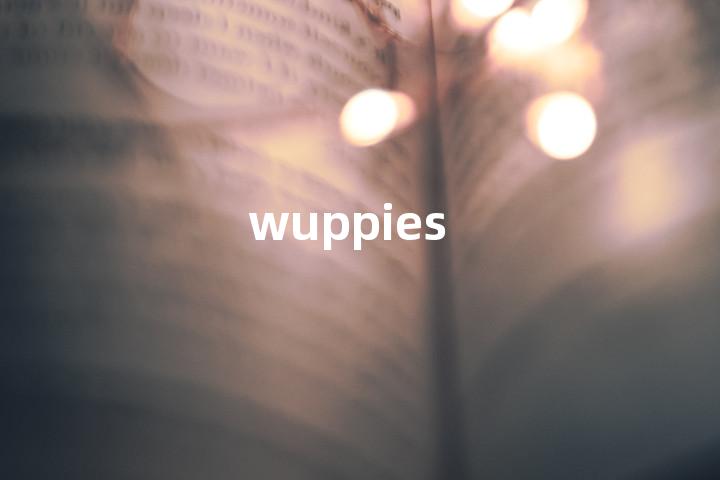 wuppies单词图解，单词释义场景配图
