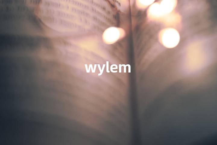 wylem单词图解，单词释义场景配图