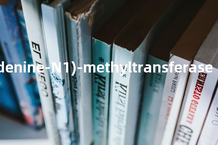 tRNA(adenine-N1)-methyltransferase单词图解，单词释义场景配图