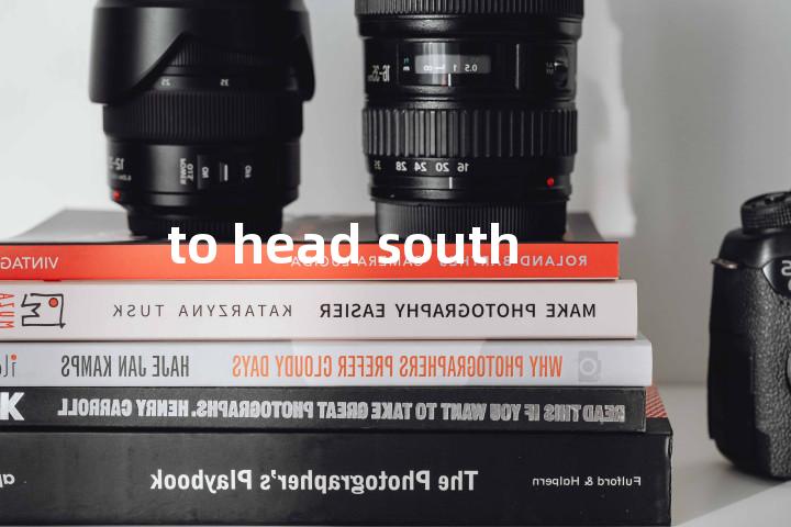 to head south单词图解，单词释义场景配图