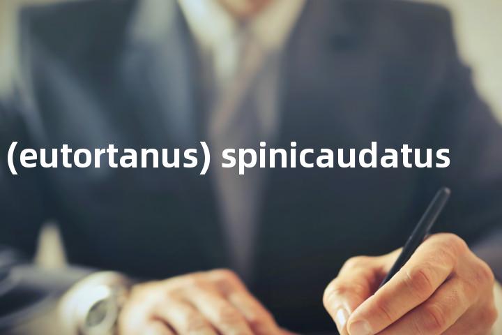 totanus (eutortanus) spinicaudatus单词图解，单词释义场景配图