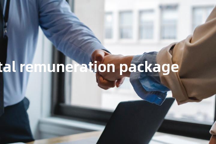 total remuneration package单词图解，单词释义场景配图