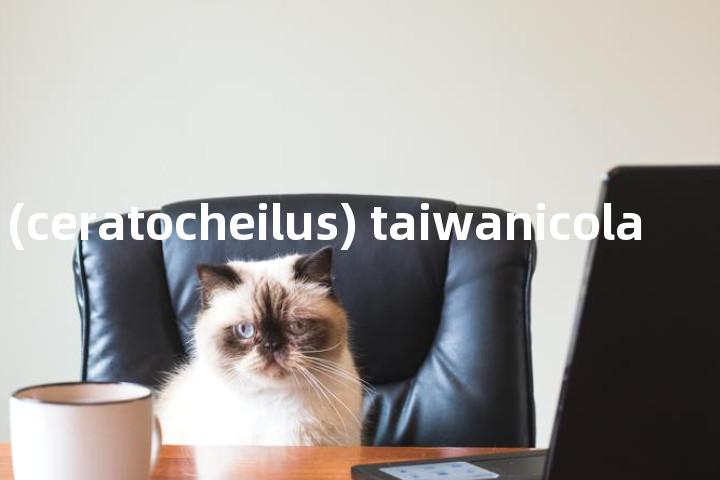 toxorhina (ceratocheilus) taiwanicola单词图解，单词释义场景配图