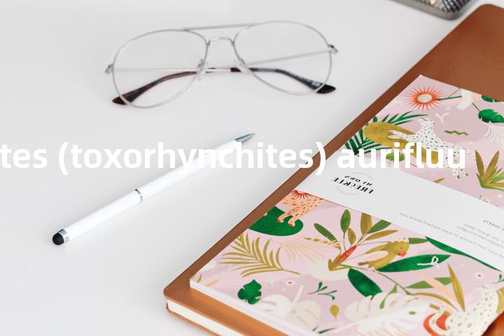 toxorhynchites (toxorhynchites) aurifluus单词图解，单词释义场景配图