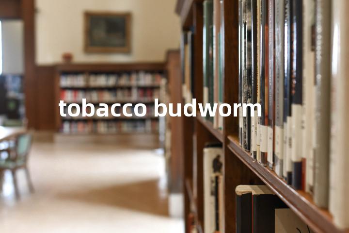 tobacco budworm单词图解，单词释义场景配图