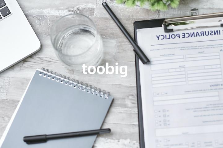toobig单词图解，单词释义场景配图