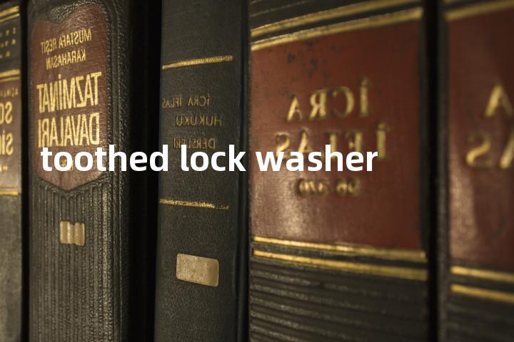 toothed lock washer单词图解，单词释义场景配图