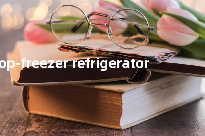 top-freezer refrigerator单词图解，单词释义场景配图