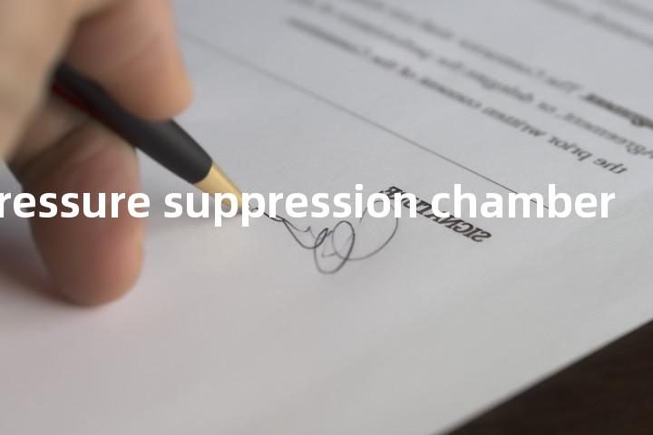 toroidal pressure suppression chamber单词图解，单词释义场景配图