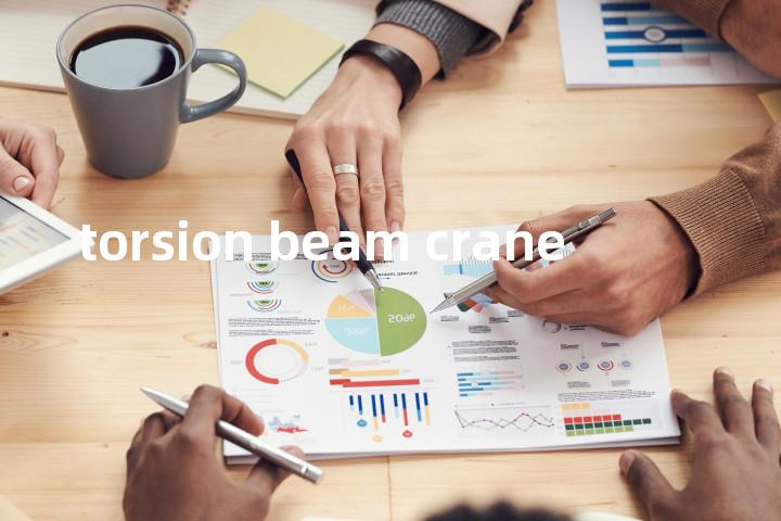 torsion beam crane单词图解，单词释义场景配图