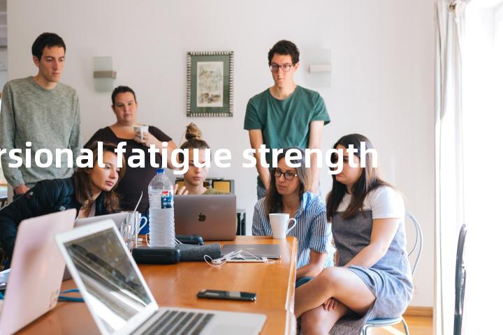 torsional fatigue strength单词图解，单词释义场景配图