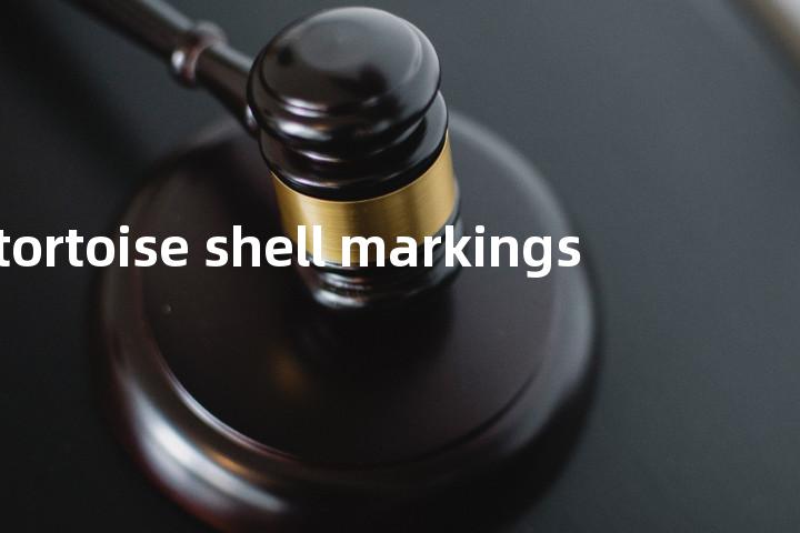 tortoise shell markings单词图解，单词释义场景配图